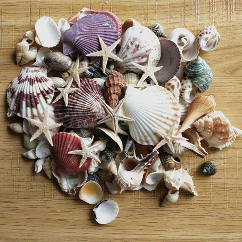 100PCS Mixed Ocean Sea shells Wedding Decor Beach Theme Party