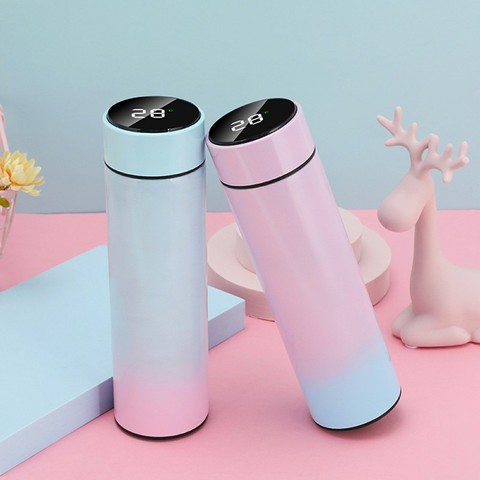 500ML Intelligent Stainless Steel Thermos Temperature Display Smart Water Bottle Gradient Vacuum Flasks Thermoses Coffee Cup ► Photo 1/6