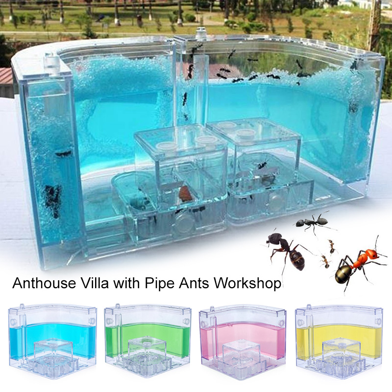 Ant Farm House Castle Insect Terrarium Color Nursery Box Kids Educational Toys