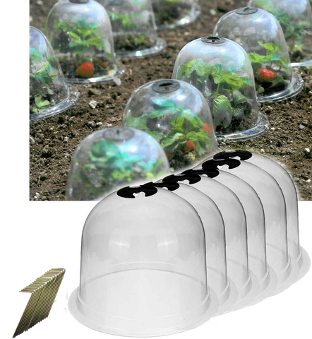 Buy Online Pack Of 10 Reuseable 10 Plastic Greenhouse Garden Plant Bell Cover Seeds Germination Cover Frost Guard Freeze Protection Dome Alitools