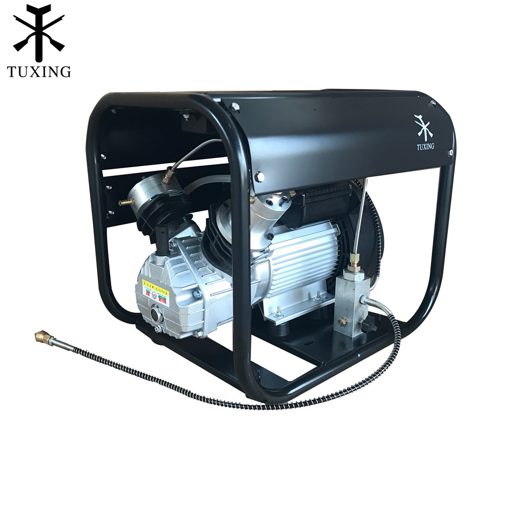 4500Psi Pcp Compressor Double Cylinder high pressure air compressor Miniature Model for PCP tank gas filling 110V TUXING