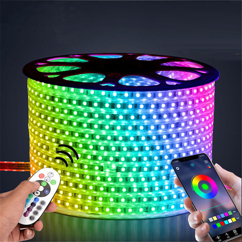 220V LED Strip Light 12V RGB SMD 5050 Tape Phone APP and Remote control Waterproof flexible lights Outdoor room decoration lamp ► Photo 1/6