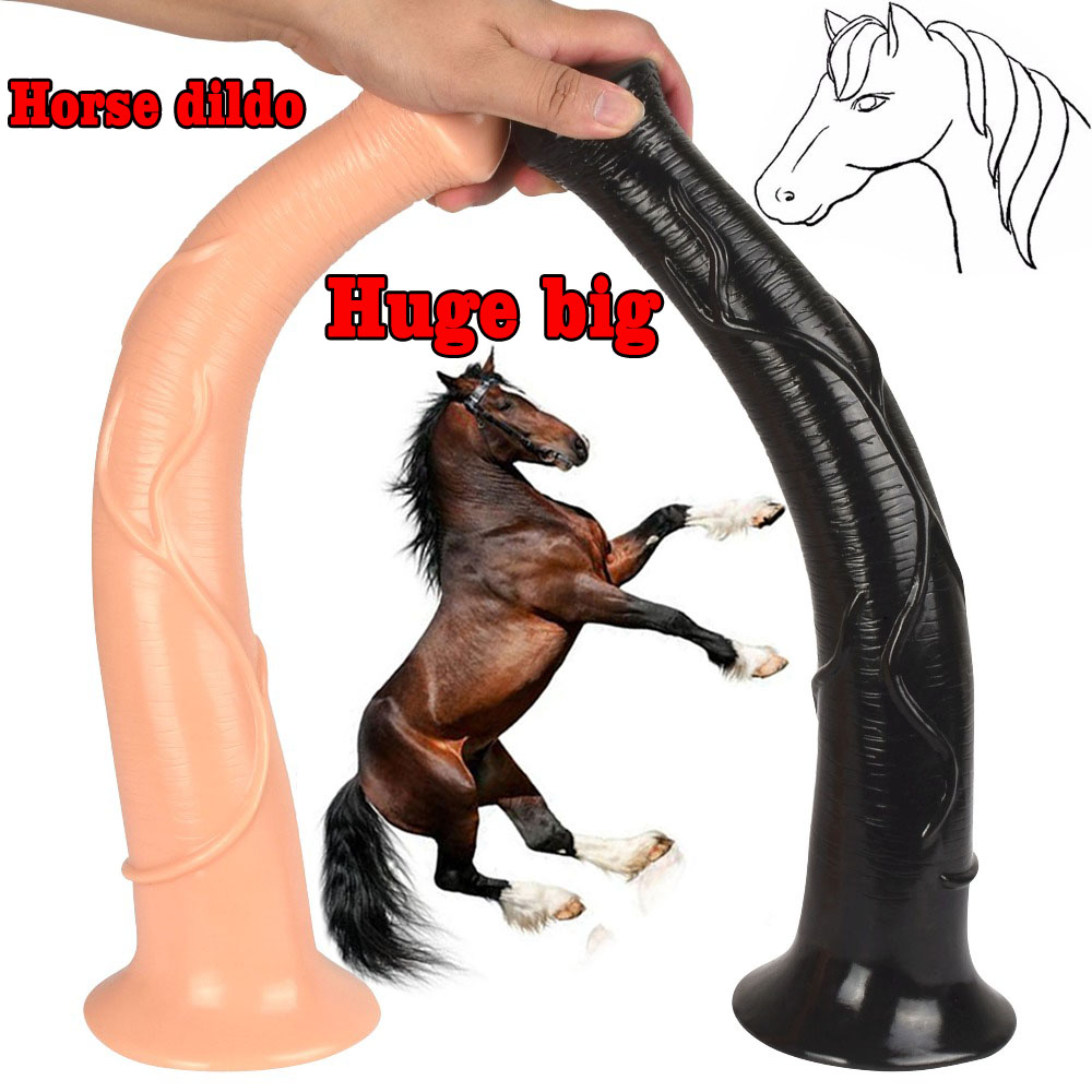 Dildo hors Free horse