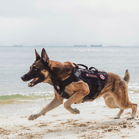 OneTigris X DESTROYER K9 Harness 3 Handled Heavy Duty Dog Vest With Metal Buckles MOLLE Training Harness for Service Dog ► Photo 1/6