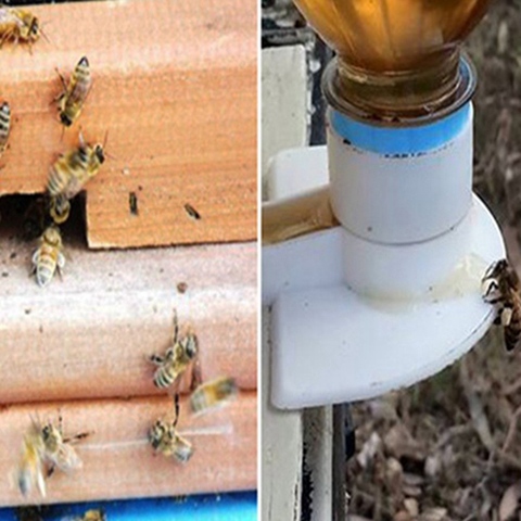 10pcs Bee Feeder Honey Entrance Feeder Beekeeping Cap Thread Feeder Bee Keeping Equip Hive Tool Queen Rearing System h2 ► Photo 1/6