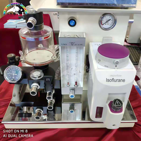 Animal Anesthesia Machine Vet Portable Pet Dog Cat Medical Anesthesia Apparatus Hospital Veterinary Anesthesia Equipment ► Photo 1/6