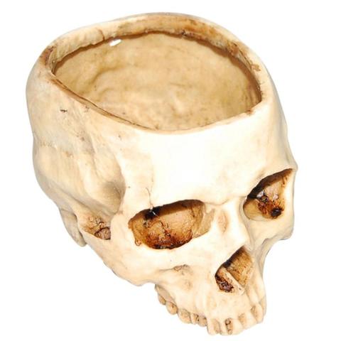 Resin Human Skull Model Flower Pot Shining Fruit Plate Storage Container Flower Pot Planter Skull Pot Home Decor Crafts ► Photo 1/6