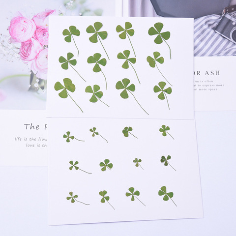 12PCS,Nature Real Touch Flower Petals,Pressed Four Leaf Clover for DIY Candle Craft Bookmark Gift Card,Flores secas Facial Decor ► Photo 1/6