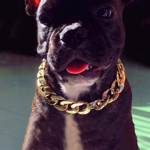Dog Fashion Metal Chain Collar Gold  Stainless Steel Cool Cuban Pet Bully Necklace Pet Gift New Arrival ► Photo 1/6