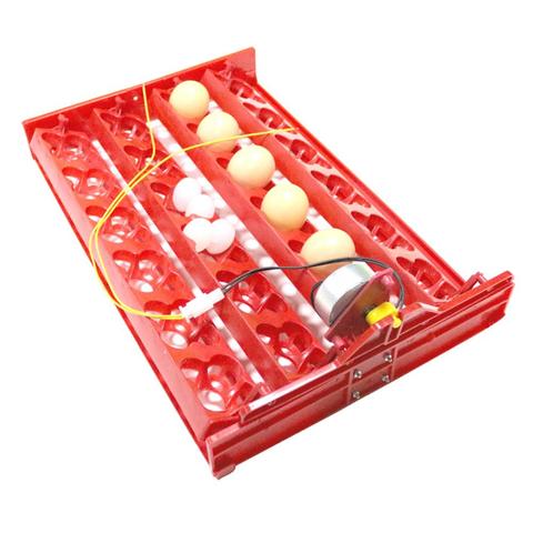 24 Chicken Eggs/96 Bird Eggs Incubator Turn Tray  Chickens Ducks Poultry Automatic Incubator 220V/110V/12V Incubation Equipment ► Photo 1/6