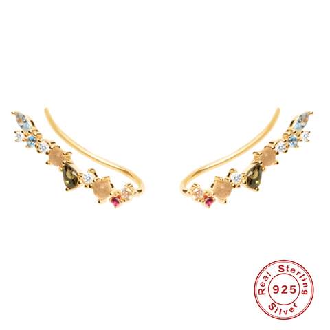 Aide 925 Sterling Silver Gold Flower Rattan Stud Earrings For Women Colorful Rainbow Zircon Ear Climber Earring Fine Jewelry ► Photo 1/6