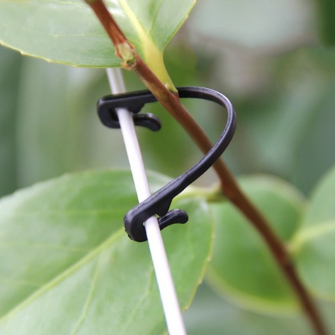 100/50pcs Vines Fastener Tied Plastic Plant Support Clip Hook Grape Connection Vine Frame Grid Fastener Gardening Agricultural ► Photo 1/6