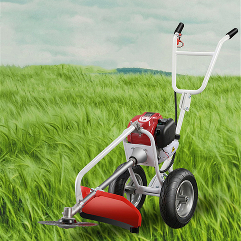 Household Lawn Mower Hand Push Type Grass Cutter High Power Portable Multifunctional Gasoline Weeding Machine 2750W/6500r/min ► Photo 1/6
