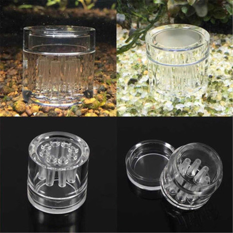 8 Hole Snail Trap Transparent Leech Vivarium Planarian Pest Catch Pen red bee shrimp Worm Bait Feeding Box Aquarium Cleaner Tool ► Photo 1/6