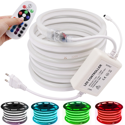 220V Neon Light Flexible LED RGB Strip with 24Keys  IR Remote Control Waterproof Strip Rope for Decoration EU Plug ► Photo 1/6