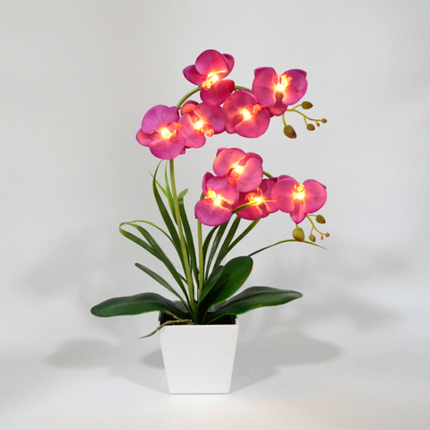 Free Shipping LED Blossom Orchid Flower Light 9 PCs Warm White LED /Lighted Flowers with Battery pot LED Orchid Flower Bonsai ► Photo 1/6