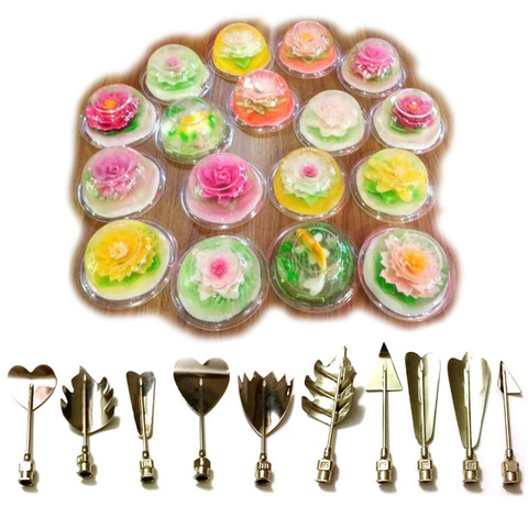 10pcs/set 3d Jelly Flower Art Tools Stainless Steel Gelatin Pudding Nozzle Syringe Nozzle Set Cake Decorating ► Photo 1/6