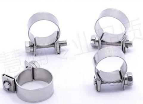 20pcs 304 Stainless Steel Mini Hose Clamp Small Fixing Pipe Clamps Marine Stainless Tube Clamp Fittings Fuel Line Clips Klemmen ► Photo 1/5