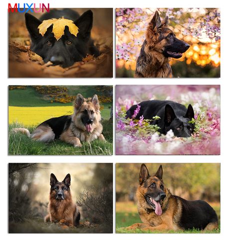 Full Round 5D Diy Diamond Painting German Shepherd Diamond Mosaic Animal 3D Diamond Embroidery Dog Cross Stitch Home Decor Lx879 ► Photo 1/6