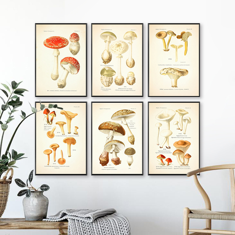 Vintage Mushroom Botanical Posters and Prints Atlas of Edible and Poisonous Mushrooms Plants Canvas Painting Wall Art Home Decor ► Photo 1/6