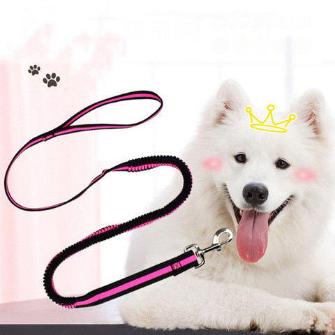 190cm Elastic Dog Leash Pet Cat Puppy Anti Dash Pull Dog Lead Leash Retractable Leash For Rabbit Hamster Small Pets Dropshipping ► Photo 1/6