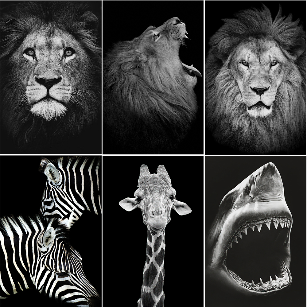 Painting By Numbers Black And White Lion Animals Drawing Canvas DIY  Pictures By Numbers Kits Wall Art Hand Painted Home Decor - Price history &  Review | AliExpress Seller - Toy DropShip