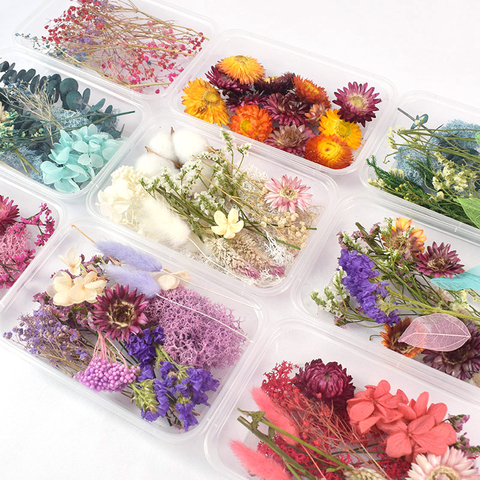 1 Box Bulk Mixed Dried Flowers DIY Epoxy Resin Art Filling Aromatherapy  Flowers