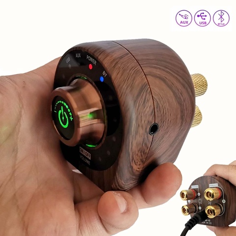 Mini Wooden Design Audio HiFi  Bluetooth 5.0 Power Class D Amplifier Tpa3116 Digital Amp  50W*2 Home Audio Car Marine USB/AUX IN ► Photo 1/6