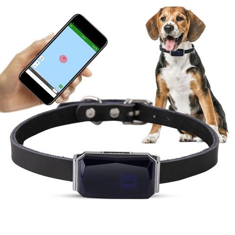 Pets Smart GPS Tracker IP67 Waterproof Adjustable Practical Dog Cat Tracking Collar Anti-Lost Tracking Locator with Free APP - Price history & Review | AliExpress Seller - Householdlife Gift Store | Alitools.io