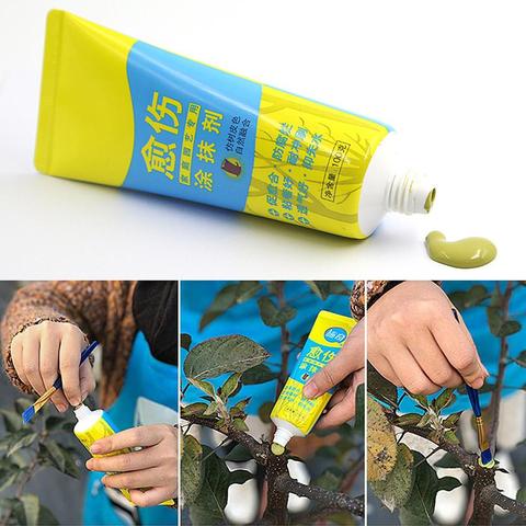 100g Plant Tree Wound Cut Paste Smear Agent Pruning Compound Sealer with Brush Green plant flowers seedling wound healing cream ► Photo 1/6