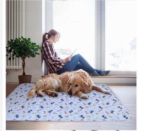 Pet Dog Pee Pads Three-layer Waterproof PVC cute Reuseable Water Absorption Pet Dog Training Urine Pad Diapers Washable Pee Mat ► Photo 1/6