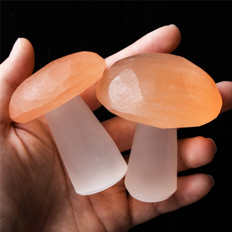 1pcs Natural Selenite Quartz Crystal Polished Mushroom Stones Home Decoration Reiki Healing Natural Quartz Stone ► Photo 1/6