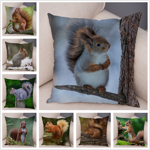 Cute Squirrel Cushion Cover Pillowcase Pillow Covers Home Decor Pet Animal Pillows case Super Soft Short Plush Pillows Covers ► Photo 1/6