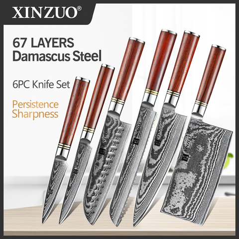 XINZUO 5 PCS Kitchen Knives Set VG10 Damascus Stainless Steel