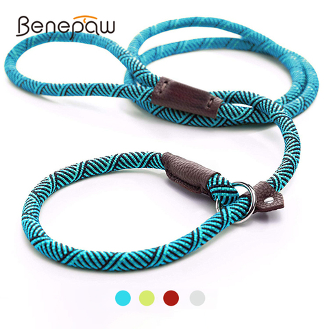 Benepaw Durable Slip Rope Dog Leash Collar 2 In 1 Adjustable Loop Collar Comfortable Small Meidum Large Pet Harness Leash ► Photo 1/6