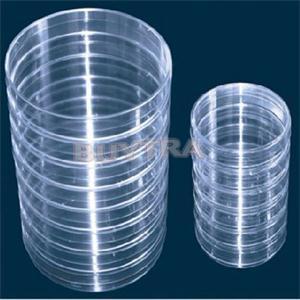 Affordable 10Pcs Sterile Petri Dishes w/Lids for Lab Plate Bacterial Yeast 55mm x 15mm ► Photo 1/6