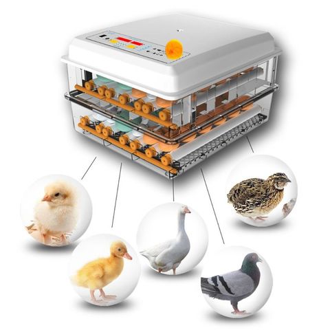 220V Eggs Incubator Brooder Bird Quail Chick Hatchery Incubator Poultry Hatcher Turner Automatic Farm Incubation Tools EU/US ► Photo 1/6