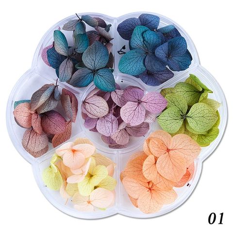 50PCS MORE Dried mini flower for resin jewelry, mixed flower for