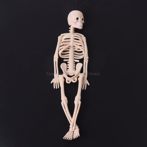 Skeleton Human Model Skull Full Body Mini Figure Toy Phone Hanger Halloween N15 19 Dropship ► Photo 1/6