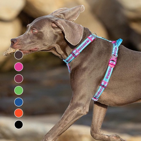 Truelove Soft Padded Dog Harness Easy On And Off Nylon Adjustable Car Pet Harness Belt Reflective For Outdoor Training Walking ► Photo 1/6