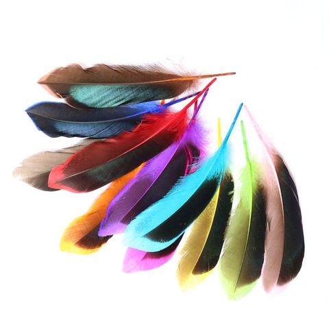 20 PCS Natural High Quality Wild Duck Feathers 4-6 Inches / 10-15cm Long, Diy Pheasant Feather Jewelry Decorative Accessories ► Photo 1/5