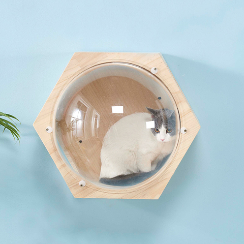 Wall-mounted Cat Climbing Frame Cat Tree Hexagonal Space Capsule Cat Wall Play House Cave Kitten Toy Bed DIY Pet Furniture ► Photo 1/6