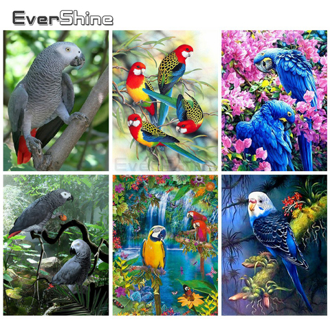 EverShine Diamond Painting Parrot Cross Stitch Diamond Embroidery Mosaic Animals Sale Rhinestones Art Gift Wall Decoration ► Photo 1/6