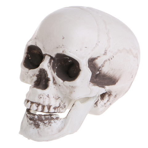 Skull Decor Prop Skeleton Head Plastic Halloween Day Coffee Bars Ornament ► Photo 1/6