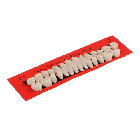 28Pcs/Set Resin Teeth Model Durable Dentures Universal Resi False Teeth Dental Material Teeth Teaching Model Dedicated Teeth ► Photo 1/6