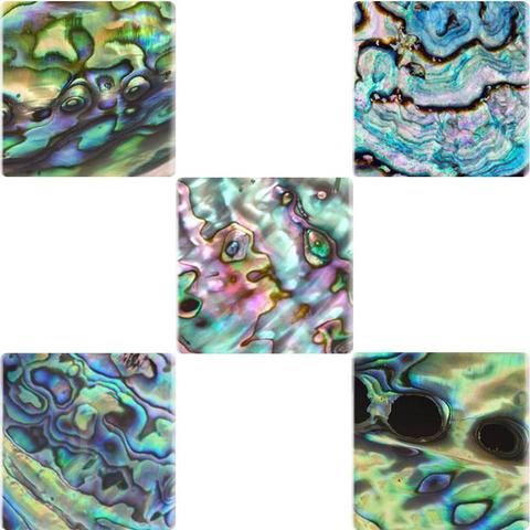 TAFREE 12/25 MM Square DIY Glass Seashell Abalone Pattern Cabochon Cover Pendant Cameo Settings For Keychain Necklace TX620 ► Photo 1/6