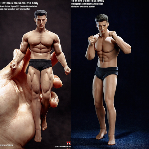 TBLeague 1/12 Super-Flexible Male Seamless Body Action Figure with Head Sculpt TM01A /TM02A Fitness Suntan Skin Soldier Figures ► Photo 1/6