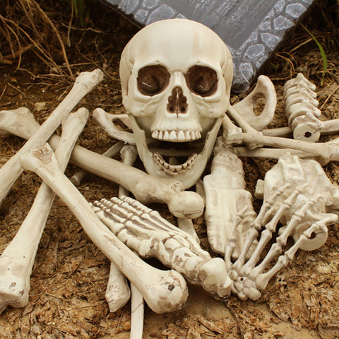 Halloween Skeleton Bones 28 pieces Simulation Human Bones Haunted House Horror Props Tricky Toys Bone Skull Halloween Decoration ► Photo 1/5