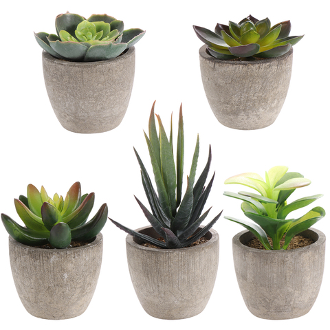 5PCS Creative Mini Faux Succulent Decor Succulent Plants Potted Plants Fake Simulation Plants with Pots for Living Room Home ► Photo 1/6