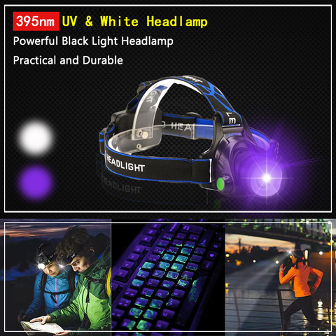 2022 New Portable USB Rechargeable Headlight Zoomable 5W 395nm UV Headlamp 4-Mode UV & White Head Torch For Camping Hunting ► Photo 1/6